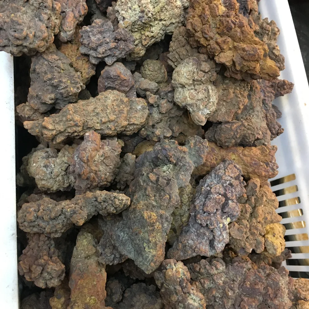 COPROLITE Fossilized Dinosaur Poop Specimen Fossil Madagascar 70-90g