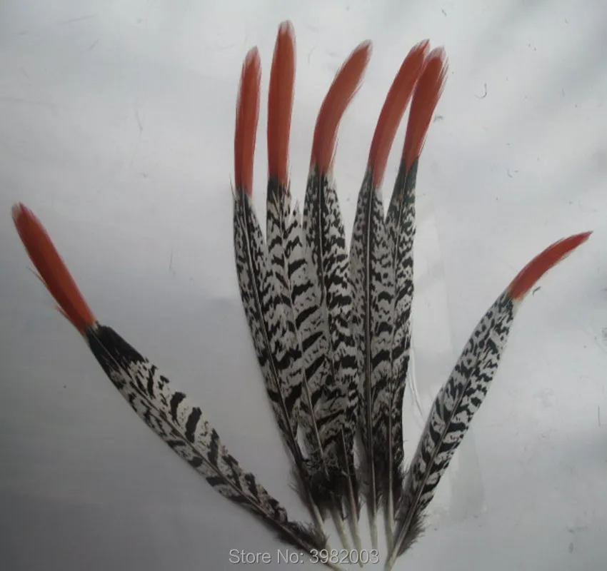 10pcs natural copper chicken red pointed feathers 10-35cm long rare feathers DIY jewelry clothing hats feathers decoration