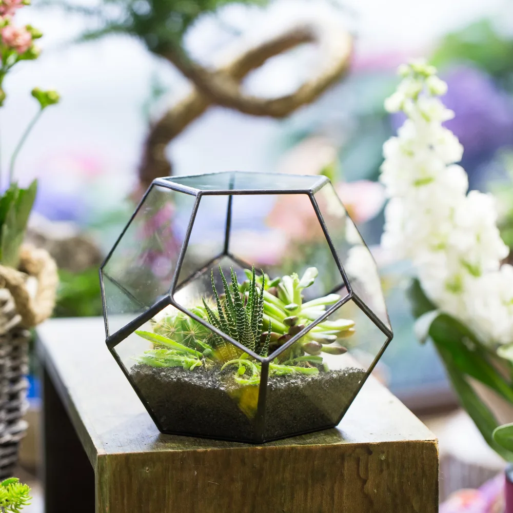 NCYP Geometric Pentagon Glass Flower Pots Ball Globe Shape Glass Terrarium Moss Succulent Plants Container Planter Flower Pot