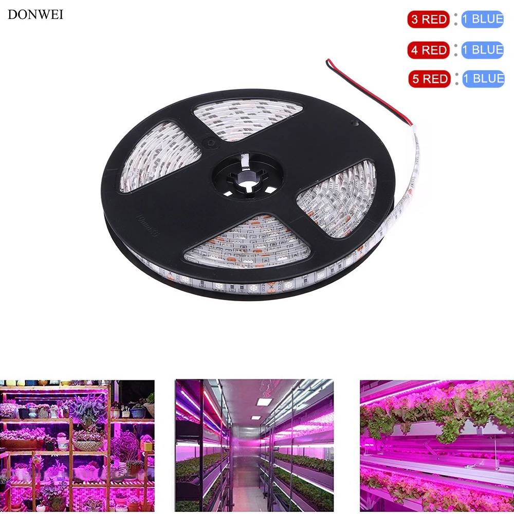 DONWEI 5M 5050 SMD Plant Growth LED Light Strip 3:1 4:1 5:1 RED BLUE Light Beads Plant Grow Lamp for Box Tent DIY Hydroponics