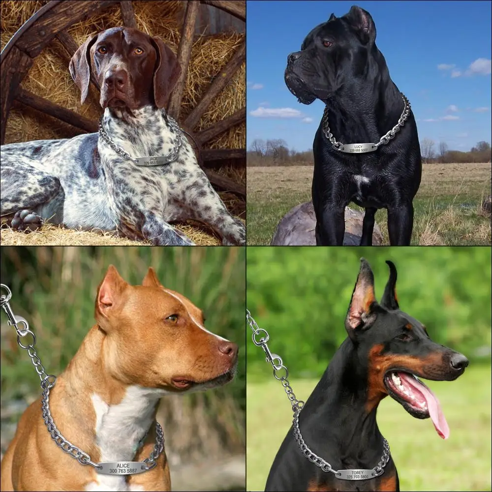 Large Dog Collar Chain Choke Personalized Pet Collars Silver Dogs Pitbull Training Slip Choker Free Engraving Tag Nameplate