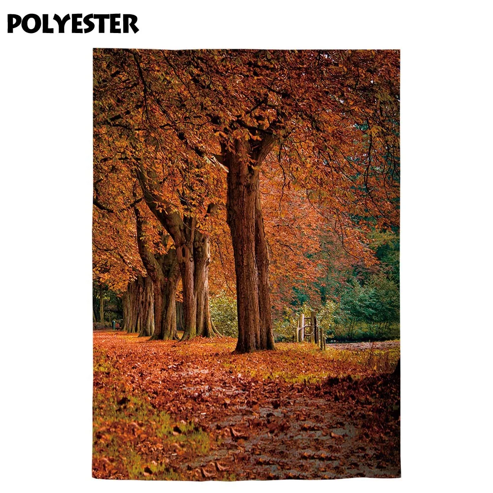 Allenjoy-사진 스튜디오용 배경, 아름다운 낙엽 숲, 다채로운 낙엽, 도로 배경, 가을 포토부스