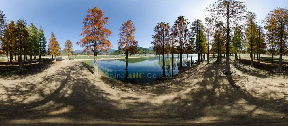 Professional Tripod Monopod Panoramic Panorama Head Quick Release Plate Clamp for Canon Nikon DSLR Camera for Akai Accessories