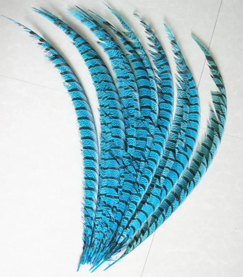 NEW 10PCS Lady Amherst Pheasant Lake blue 30-36 inches /80-90cm feathers, drama performances