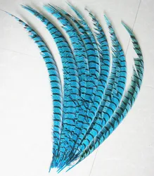 NEW 10PCS Lady Amherst Pheasant Lake blue 30-36 inches /80-90cm  feathers, drama performances