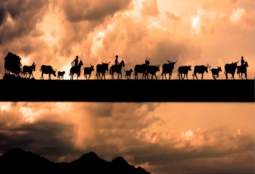 7x5FT Wild West Field Safari Cow Herd Horse Cowboy Storm Sky Custom Photography Backgrounds Studio Backdrops Vinyl 220cm x 150cm