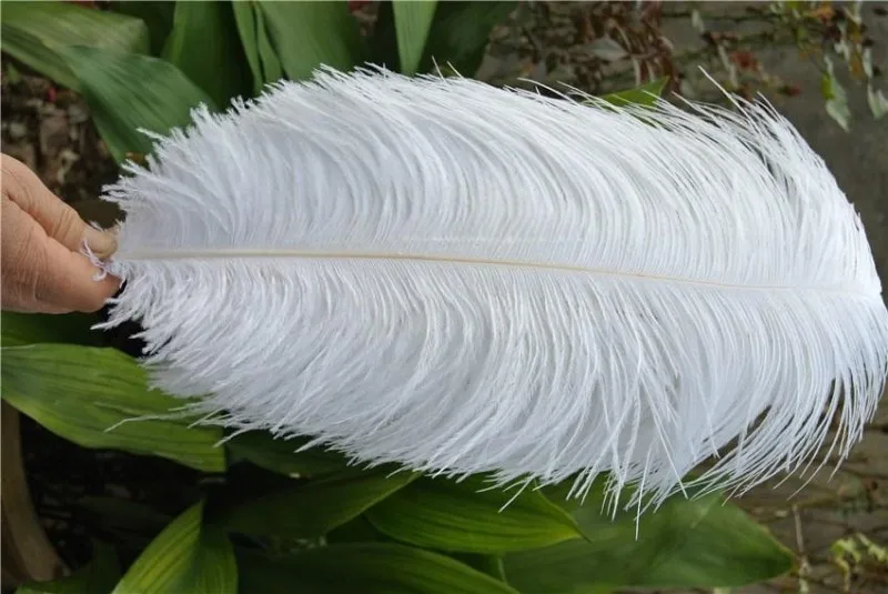 Free Shipping 10 Color Natural Ostrich Feathers 40-45 cm /16-18 inch Wedding Christmas Decorations Cosplay DIY Supplies