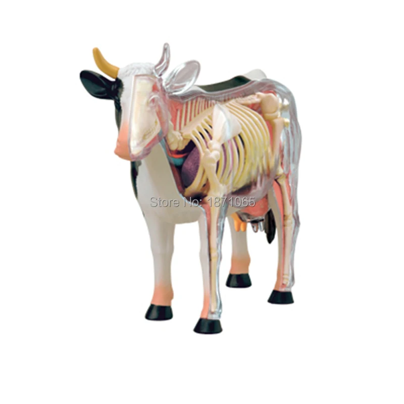 1PCS Anime 4D Vison Horse Pig Cow Chicken Anatomy Medical Animal Model Puzzels For Children Skeleton Educational Science Toy