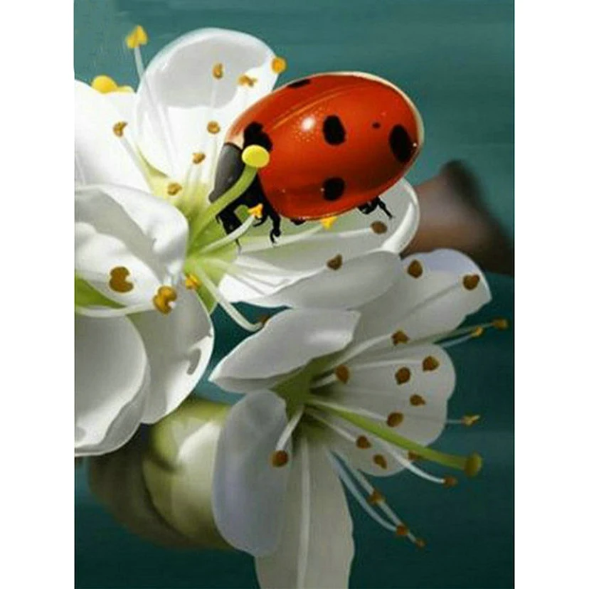 Full Square/Round Drill 5D DIY Diamond Painting ladybug and flower 3D Embroidery mosaic Cross Stitch Decor home gift WG347