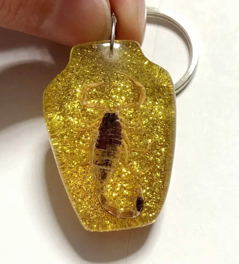 

50 pcs Scorpion Taxidermy Vase N 3 Style Jewelry Keychain