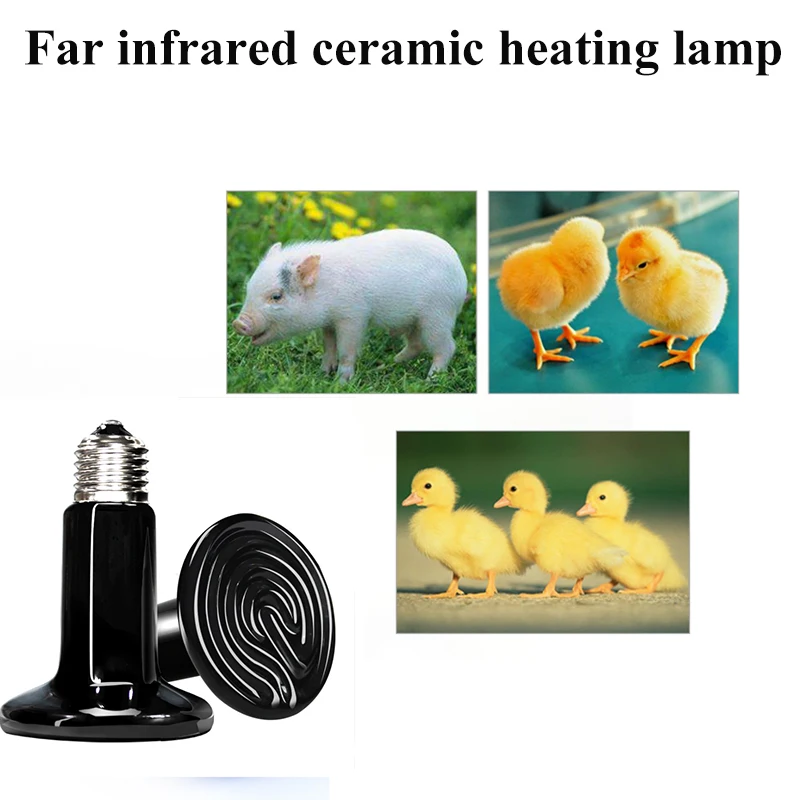 1PCS Brooder Infra Lamp Infrared 220v Bulb Heater Infrarood Reptille Reptile Chocadeira Tortuga Reptiles Lizard Ceramica Heat