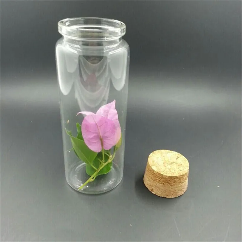 

Brilliant Glass Bottles with Cork Craft Bottles Jars Weding Gift 50ml 80ml 100ml 150ml Empty Jars Gift Containers Bottles 24pcs