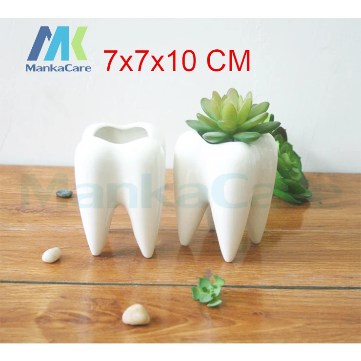 2 Pcs Tooth Shape White Ceramic Flower Pot Modern Design Planter Teeth Model Mini Desktop Pot Creative Gift Home decor gifts