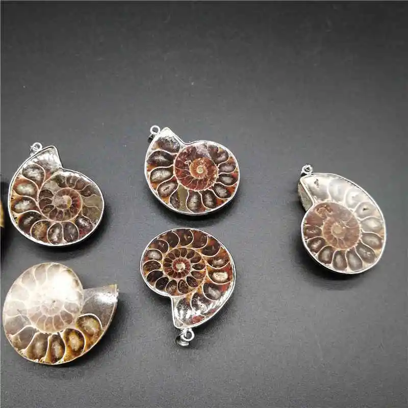 fashion jewelry Natural Ammonite  Seashell Ocean Reliquiae Conch Exquisite Snail Shells Pendants For Necklace Men Women