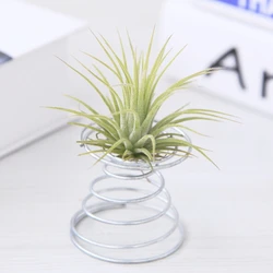 Air Plant Spring Wire Tabletop Tillandsia Holder Miniature Gardening Decorations