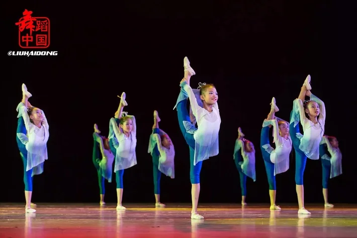 A nova menina roupas oitavo estilo lótus dança clássica trajes performances de dança de crianças contemporâneas Qinglian