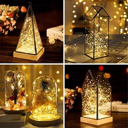 LSDM-Cordes LED en fil de cuivre à piles 3XAA, décoration de fête de mariage de Noël, lumières dégradées, 2m, 5m, 10m, 100