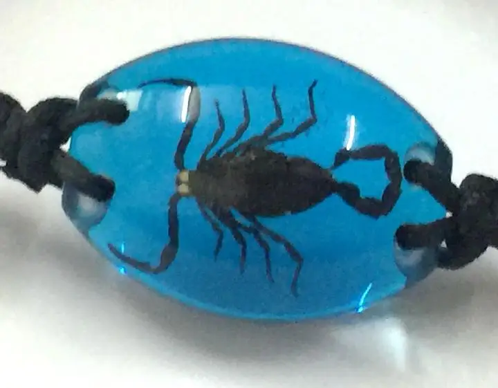 

10 Bracelet Real Black Scorpion Taxidermy In Blue Color Resin