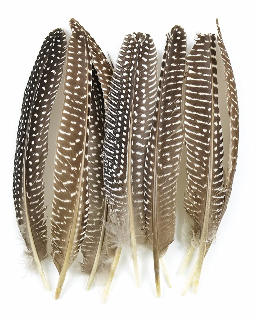 wholesale 10-pcs high quality beatiful natural guinea fowl feather 12-17cm / 5-7inch Decorative diy