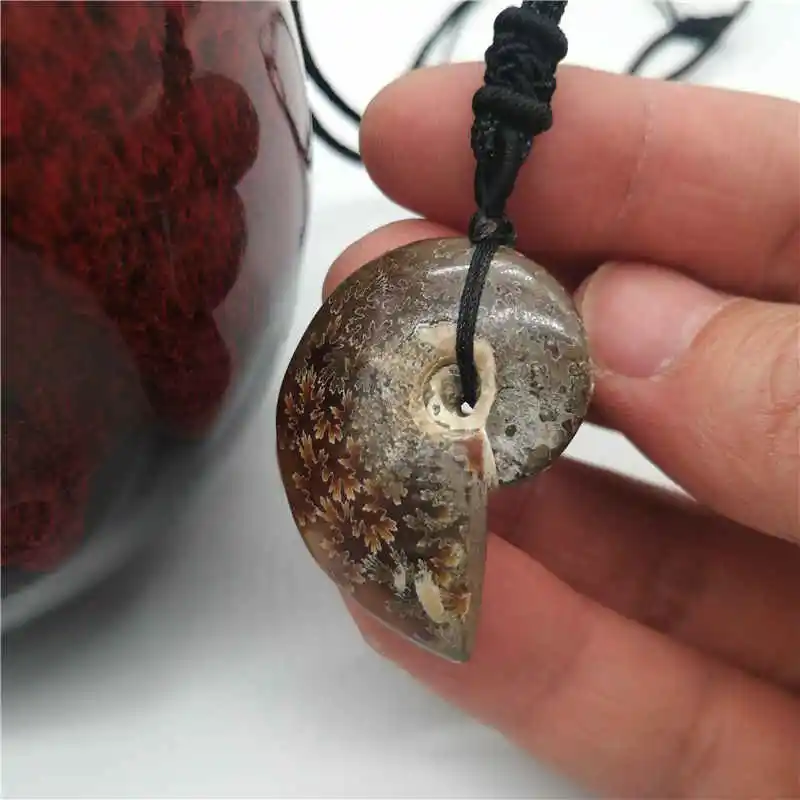 1Pcs Madagascar Spotted Conch Polished Jades Pattern Ammonite  S snail Pendant specimen Natural Stones and Minerals