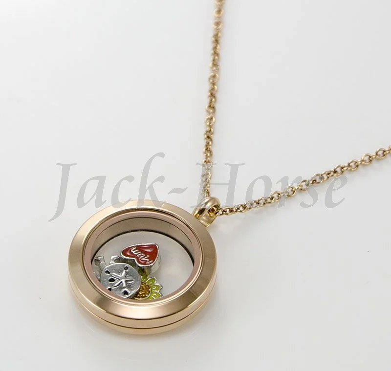 Imagem -05 - Jackhorse-medalhão à Prova Dágua 25 mm 30 mm Ouro Rosa 316l Aço Inoxidável Pingente de Vidro