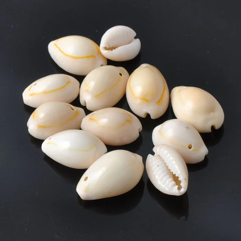 About 18mm Natural Seashell Scrapbook Craft for Home Decoration Concha Beach Nursery DIY 40pcs TRS0047