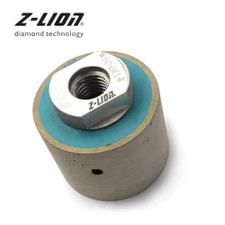 Z-LEAP 2