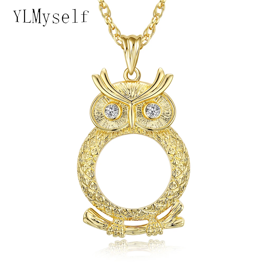 Reading glasses Long chain Magnifying glass pingentes Owl pendant crystal Magnifier necklace A gift to grandpa and grandma