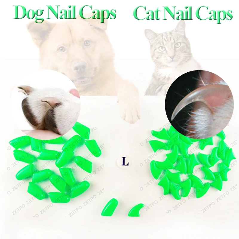 100 pz/lotto Cat Nail Caps Soft Nail Protector soft cat pawControl animali domestici tappi per unghie in silicone con colla adesiva gratuita 5