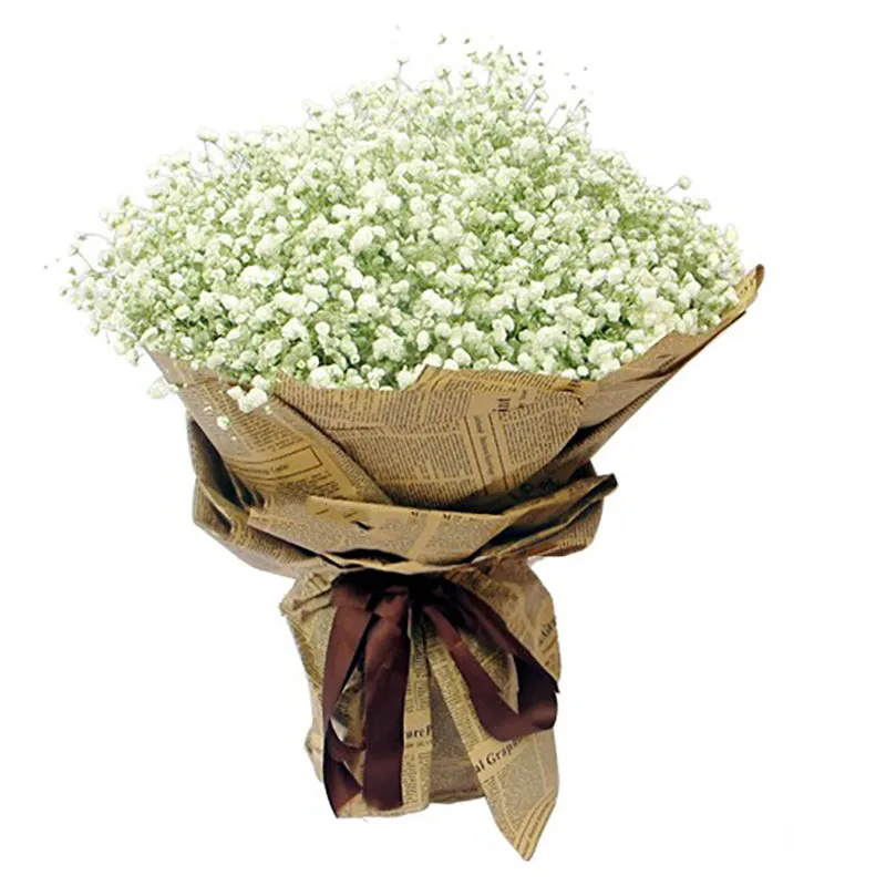 15-22‘’ 100g Natural Babys Breath Flowers Bouquet Fresh Real Touch Forever For Wedding Decoration DIY Eternal Flower Material