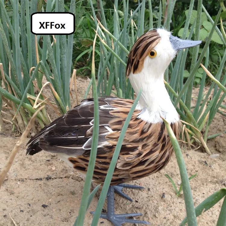 

big new simulation female duck model foam&feather real life duck bird toy gift about 37x36cm xf0763