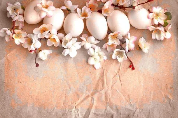 Eggs Easter Petals Hintergrund Fotografie Background For Shooting Princess Backdrop E190127A95