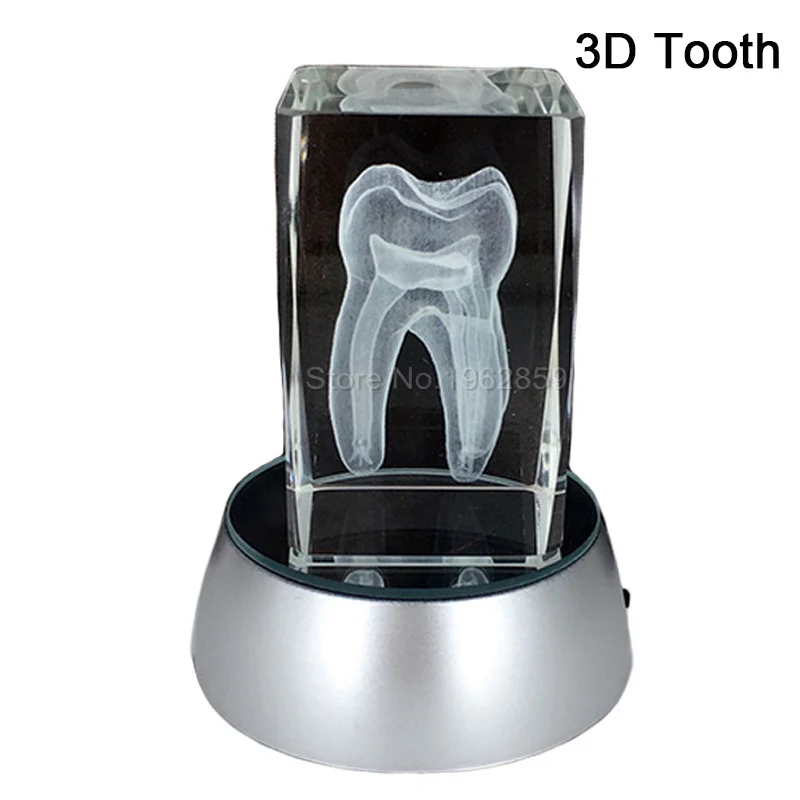 Dental 3D Tooth Model Clear Crystal Stand With LED Lamp Character Teeth Colorful Child Oral Souvenir Gift Decorarion