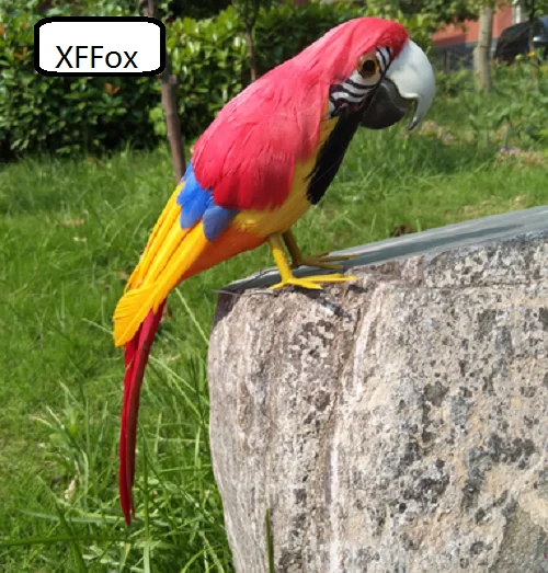 cute real life red&orange parrot model foam&feather parrot bird gift about 30cm xf0107