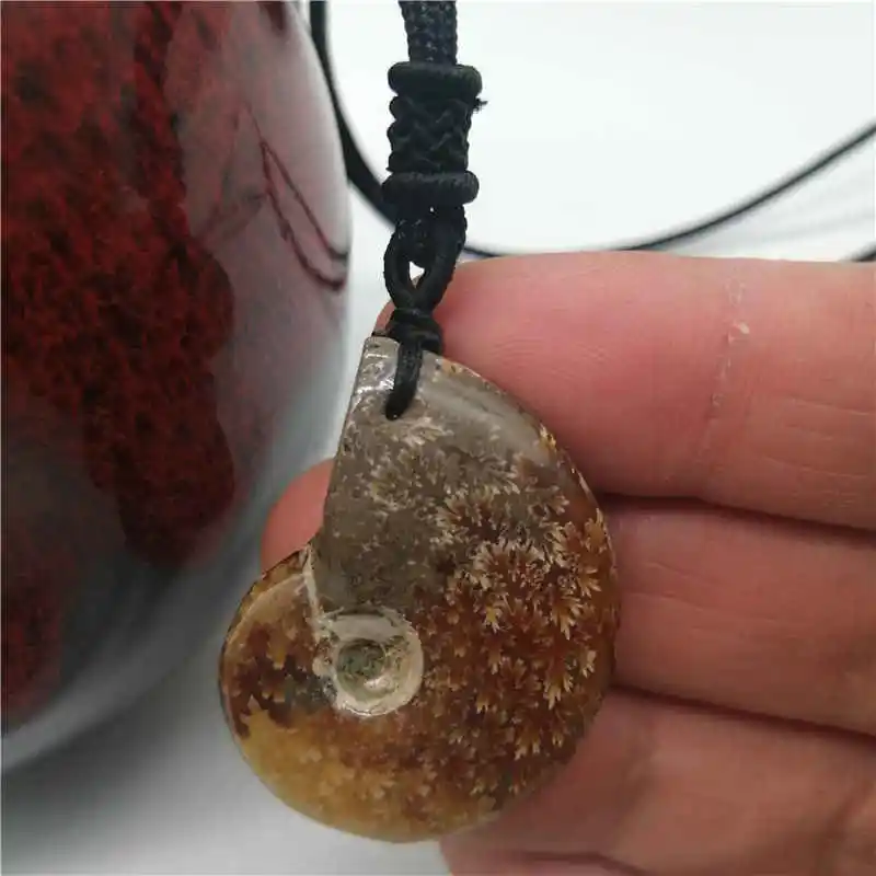 1Pcs Madagascar Spotted Conch Polished Jades Pattern Ammonite  snail Pendant specimen Natural Stones and Minerals