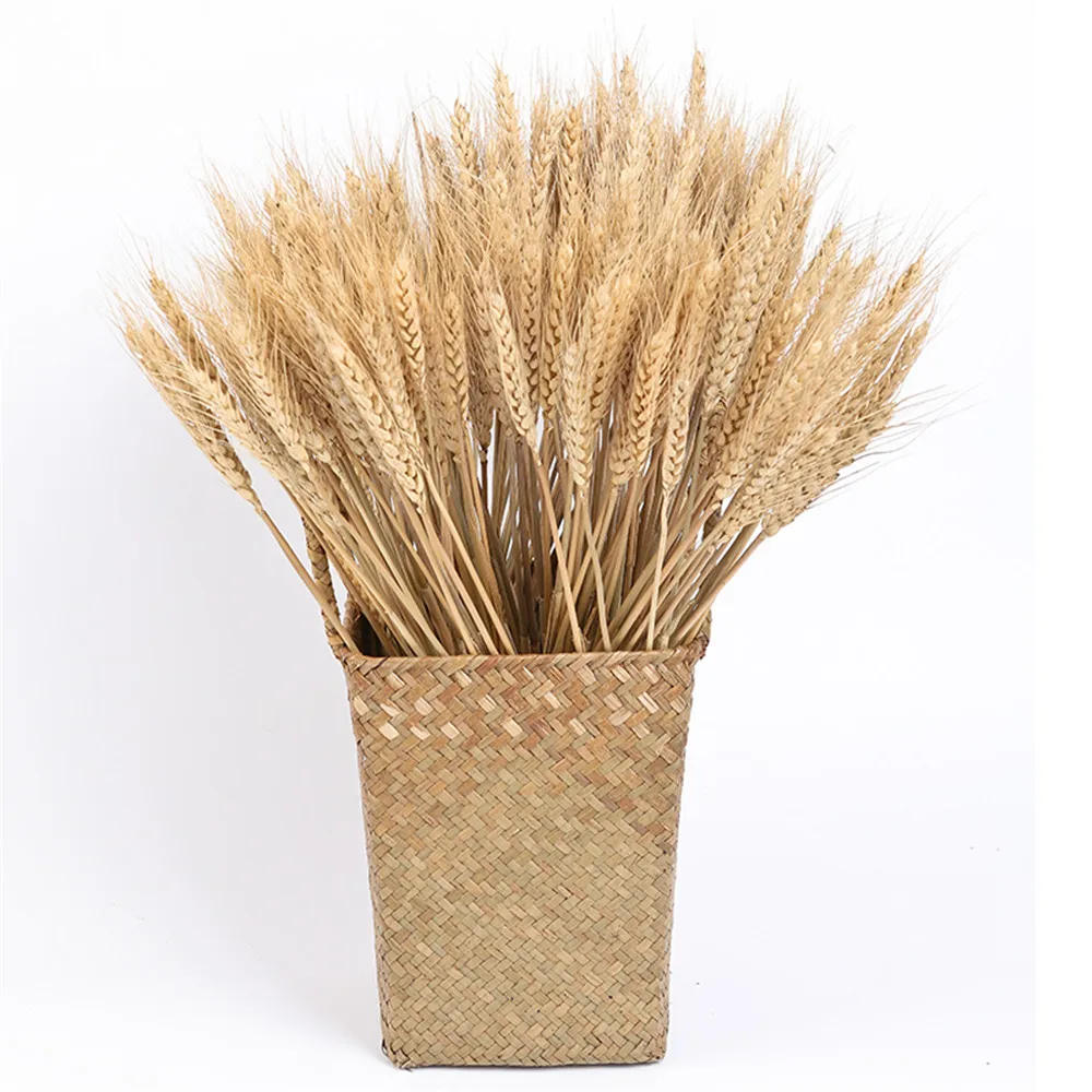 100Pcs Real Wheat Natural Dried Flowers Wedding Party Decoration Craft Scrapbook Diy Home Decoration Wheat Bouquet Photo Props