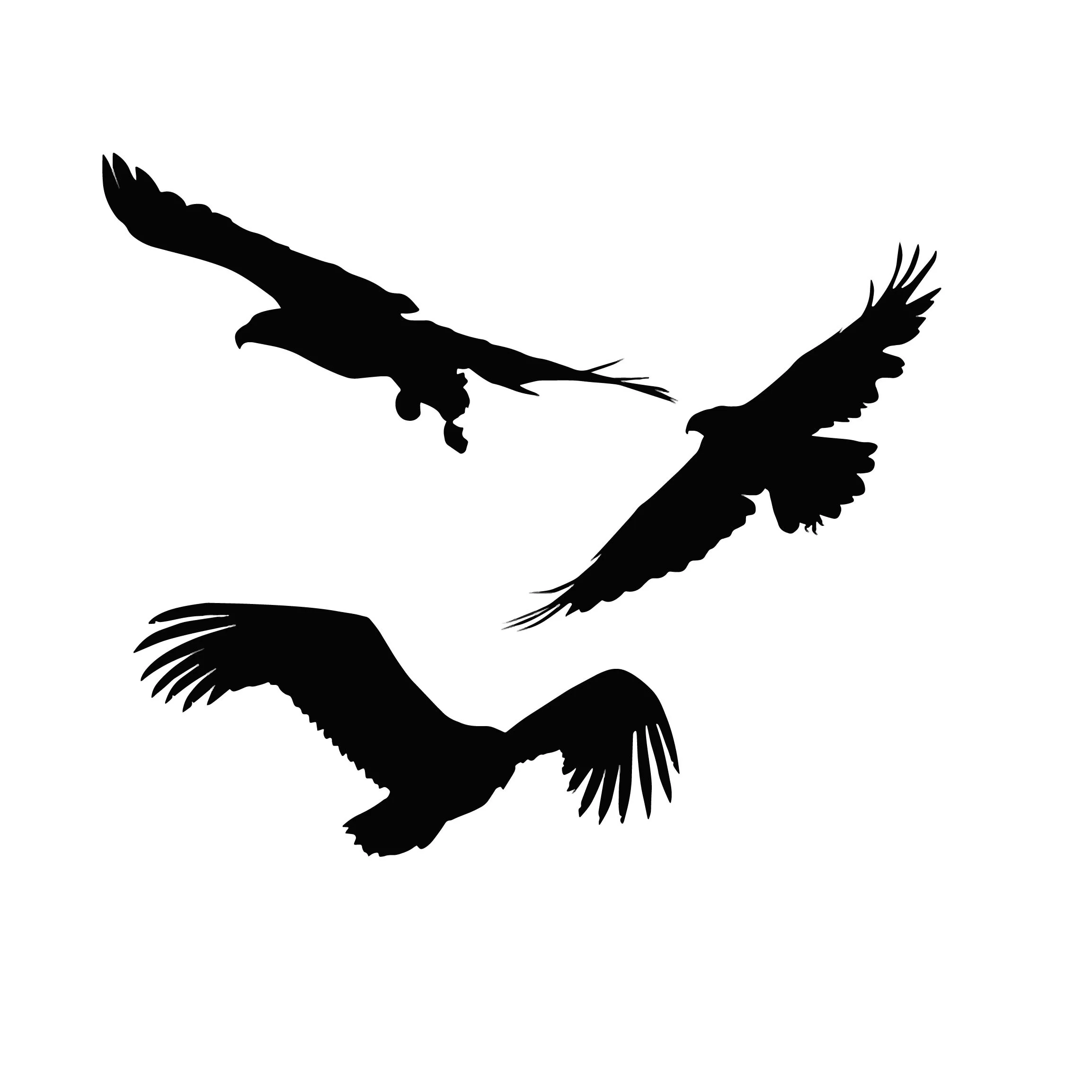 AZSG Soaring eagle Clear Stamps For DIY Scrapbooking Decorative Card making Craft Fun Decoration Supplies 10*10cm