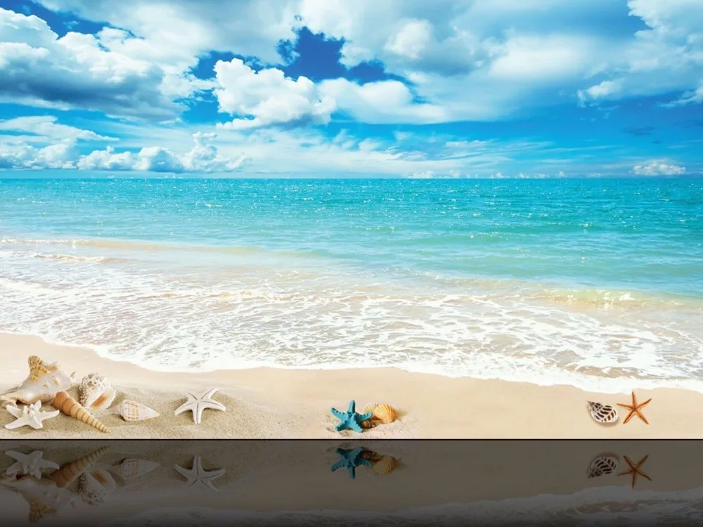 Home Decor Starfish And Seashells On The Beach-Silk Art Poster Wall Sticker Decoration Gift