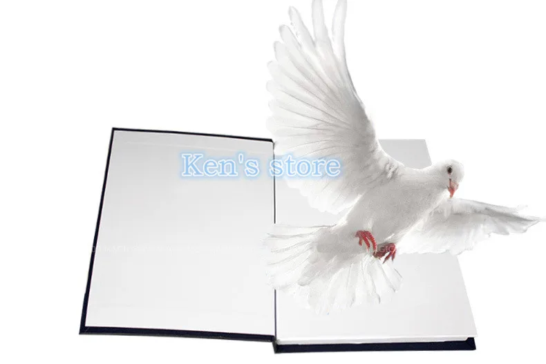 Free Shipping Metamopho Dove/Flower From Book Close Up Stage Magic Tricks for Professional Magician magia Toys Kid Best Gift