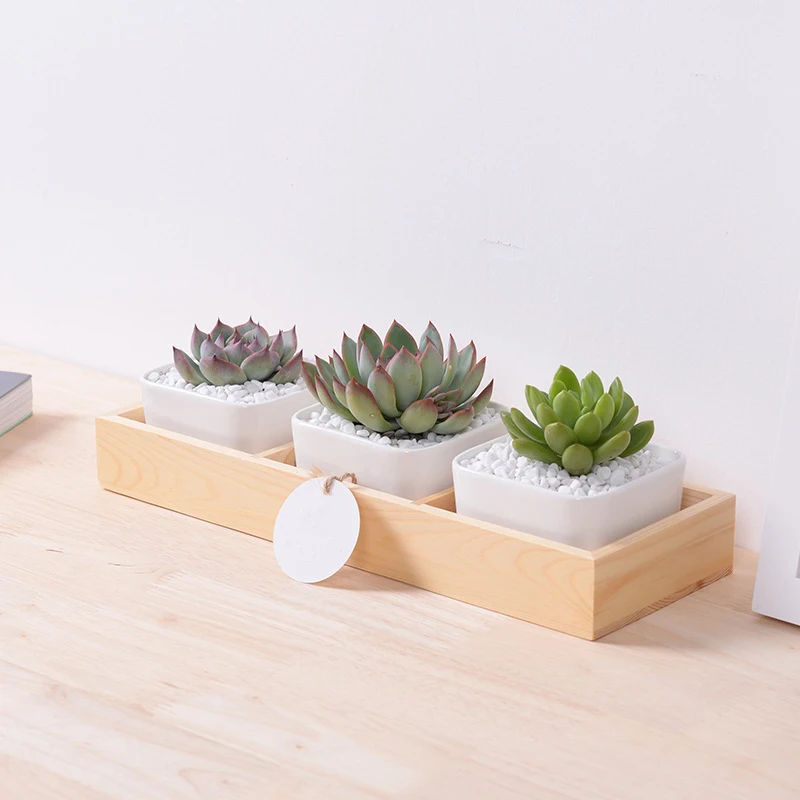 1 Set Large White Square Ceramic Succulent Plant Pots with Bamboo Tray Box Desktop Home Decoration(3 pots + 1 Tray)