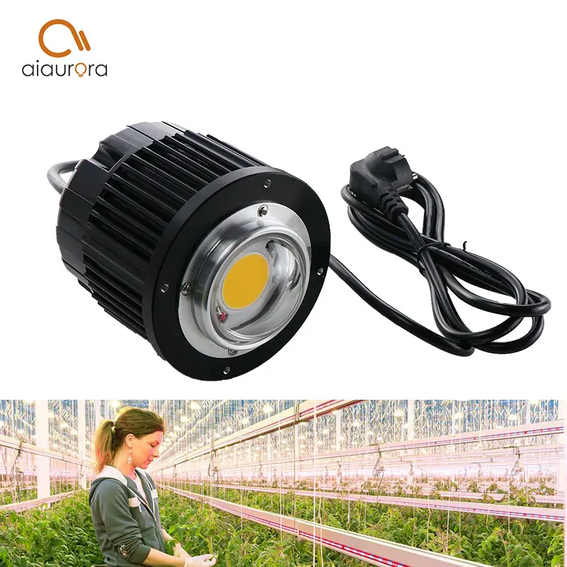 CXB3590 100W COB CITIZEN LED Grow Light Full Spectrum 12000LM = HPS 200W Growing Lamp for Hydroponics plant Growth lights