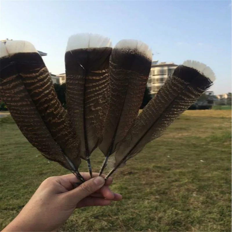 

free shipping wholesale Beatiful 100pcs scarce natural Bald Eagle feathers 25-30cm/10-12inch collect diy decoration Performance