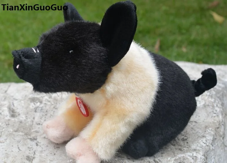 about 20cm cartoon pig plush toy cute colourful wild pig soft doll baby toy birthday gift s0252