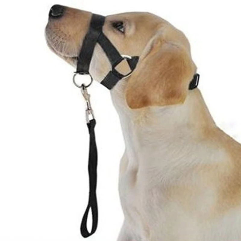 Pet Dog Padded Head Collar Dog Gentle Halter Leash Leader Stop Pulling Training Muzzles Tools