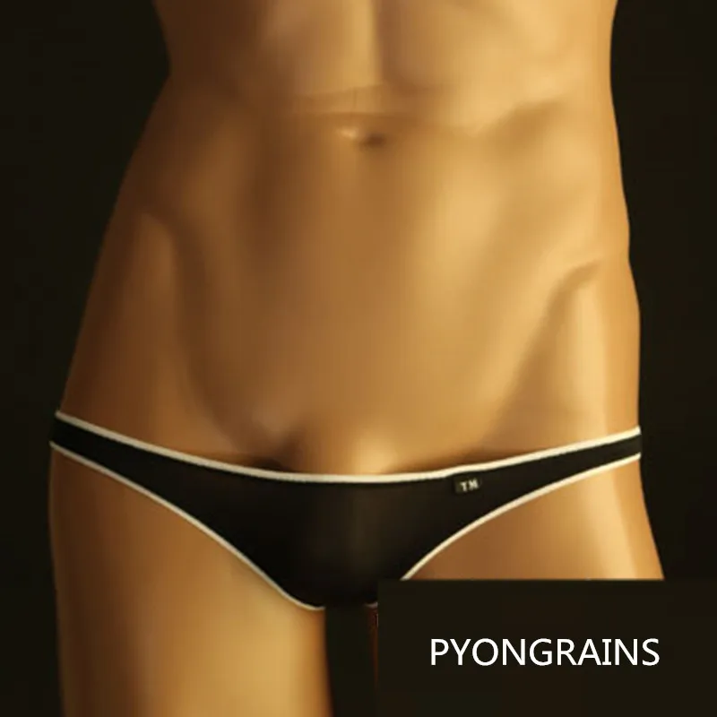 2017 Mens Nylon Briefs Low Rise Sexy Mens Bikini Gay Men Underwear Slip Homme Cuecas Briefs Brave Person Mens Nylon Briefs