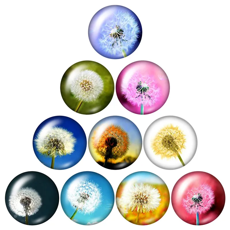 New Beauty Dandelion leaves 10pcs mixed 12mm/16mm/18mm/25mm Round photo glass cabochon demo flat back Making findings