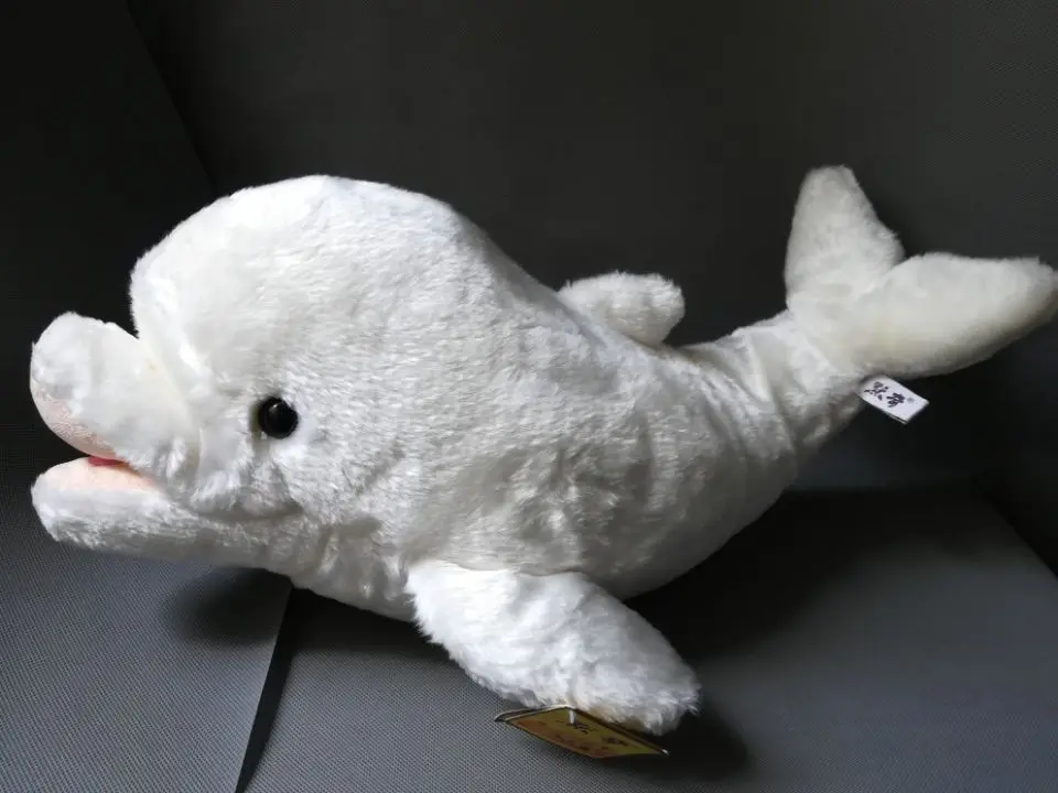 

lovely cartoon white dolphin plush toy large 60cm soft doll throw pillow birthday gift h0949