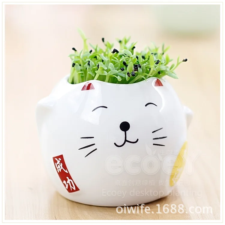 

Strange new computer peripheral radiation Lucky Cat plant planting customized gifts succulents potted flowers