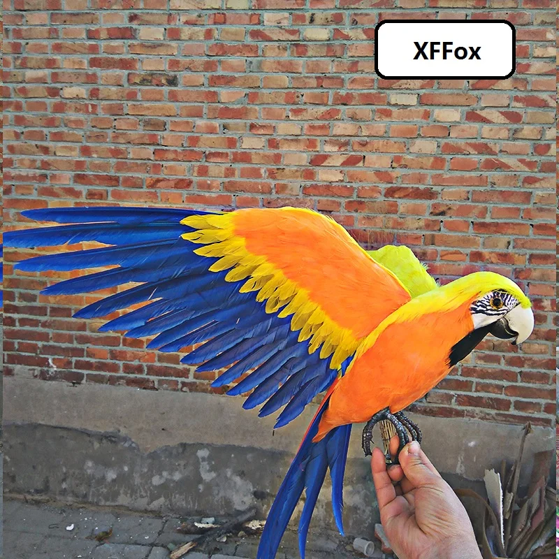 big real life wings yellow&orange parrot model foam&feather simulation parrot bird gift about 45x60cm xf0299