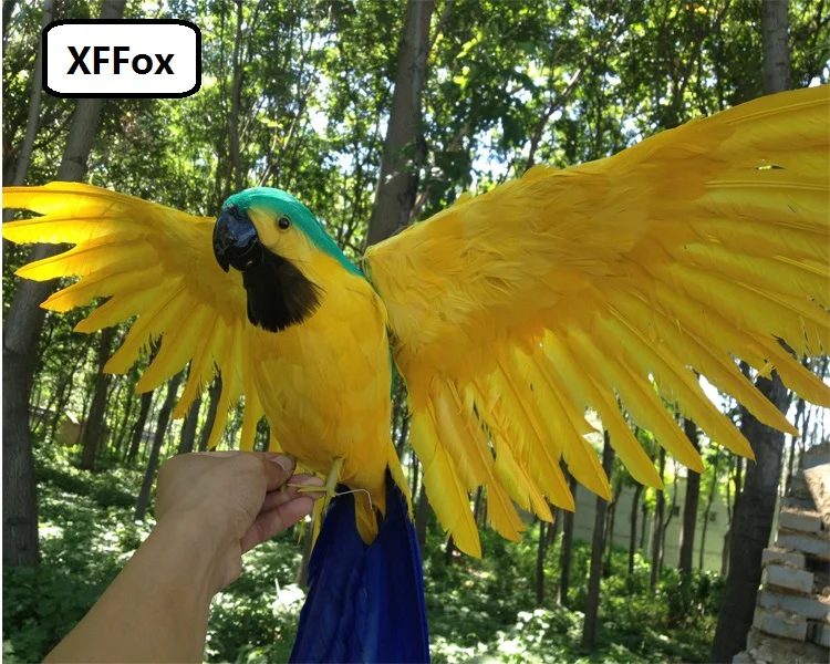 big real life wings parrot model foam&feather simulation green&yellow parrot bird gift about 45x60cm xf0286